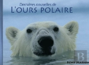 Dernieres Nouvelles De L'Ours Polaire