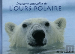 Bertrand.pt - Dernieres Nouvelles De L'Ours Polaire