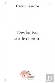 Des Balises Sur Le Chemin