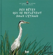 Des Bêtes Qui Se Reflètent Dans L'Étang
