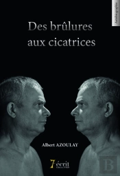 Des Brulures Aux Cicatrices -Les Combats D Un Honnete Homme Dans L Enfer Du Jeu