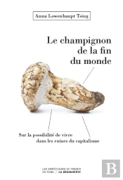 Des Champignons A La Fin Du Monde