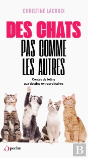 Des Chats Pas Comme Les Autres