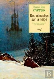 Des Etincelles Sur La Neige