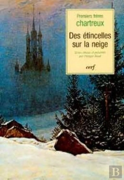 Bertrand.pt - Des Etincelles Sur La Neige