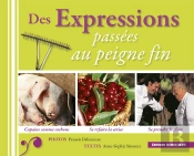 Des Expressions Passées Au Peigne Fin