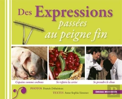 Bertrand.pt - Des Expressions Passées Au Peigne Fin