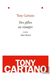 Des Gifles Au Vinaigre