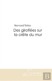 Des Giroflées Sur La Crête Du Mur