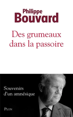 Bertrand.pt - Des Grumeaux Dans La Passoire