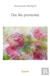 Des Îles Provisoires