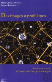 Des Images A Problemes. Le Sens Du Visuel A L'Epreuve De L'Image Scie Ntifique