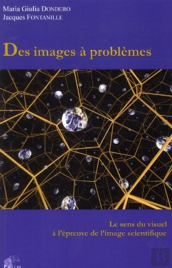 Bertrand.pt - Des Images A Problemes. Le Sens Du Visuel A L'Epreuve De L'Image Scie Ntifique