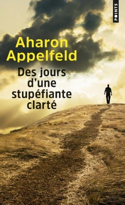 Bertrand.pt - Des Jours D'Une Stupefiante Clarte
