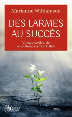 Bertrand.pt - Des Larmes Au Succès ; Voyage Spirituel De La Souffrance À L'Illumination