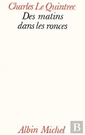 Des Matins Dans Les Ronces