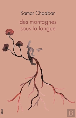 Bertrand.pt - Des Montagnes Sous La Langue