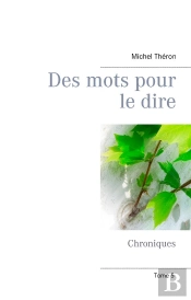 Des Mots Pour Le Dire - Chroniques Tome 5