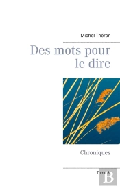 Des Mots Pour Le Dire T.3 ; Chroniques