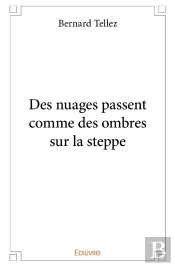 Des Nuages Passent Comme Des Ombres Sur La Steppe