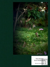 Des Oiseaux