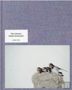 Bertrand.pt - Des Oiseaux