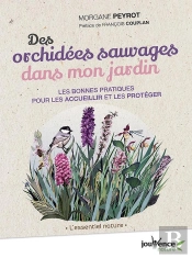 Des Orchidées Sauvages Dans Mon Jardin