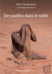 Des Pailles Dans Le Sable