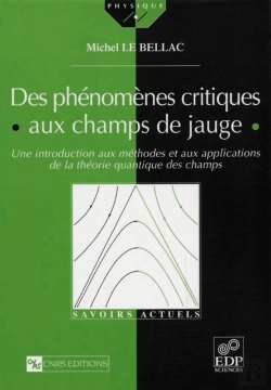 Bertrand.pt - Des Phénomènes Critiques Aux Champs De Jauge