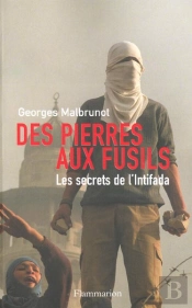 Des Pierres Aux Fusils