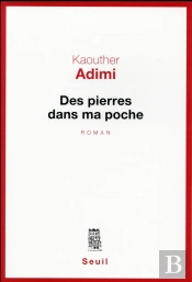 Des Pierres Dans Ma Poche