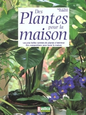Des Plantes Et Fleurs Dans La Maison