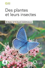 Des Plantes Et Leurs Insectes