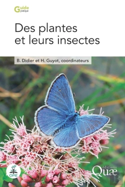 Bertrand.pt - Des Plantes Et Leurs Insectes