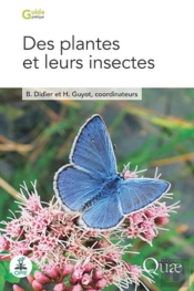 Des Plantes Et Leurs Insectes