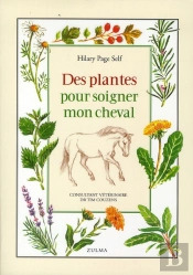 Des Plantes Pour Soigner Mon Cheval