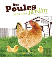 Des Poules Dans Mon Jardin