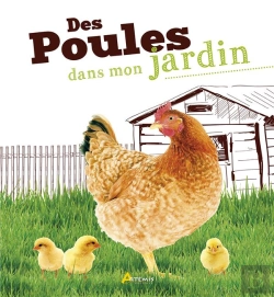 Bertrand.pt - Des Poules Dans Mon Jardin