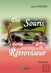 Des Souris Dans Le Rétroviseur