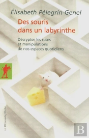Des Souris Dans Un Labyrinthe