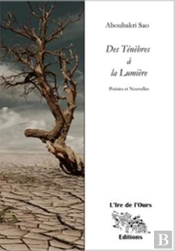 Bertrand.pt - Des Tenebres A La Lumiere