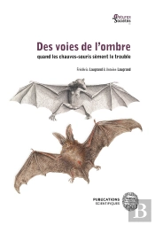 Des Voies De L'Ombre : Quand Les Chauves-Souris Sèment Le Trouble