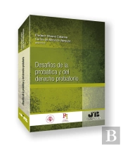 Desafios De La Probatica Y Del Derecho Probatorio