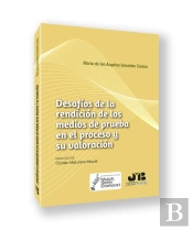 Desafios De La Rendicion De Los Medios De Prueba En El Proceso