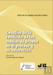 Desafíos De La Rendición De Los Medios De Prueba En El Proceso Y Su Valoración