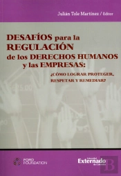 Desafíos Para La Regulación De Los Derechos Humanos Y Las Empresas