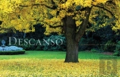 Descanso