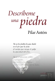 Describeme Una Piedra