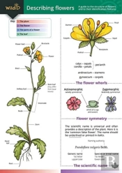 Describing Flowers