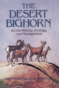 Bertrand.pt - Desert Bighorn